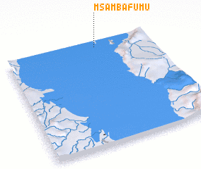 3d view of Msambafumu