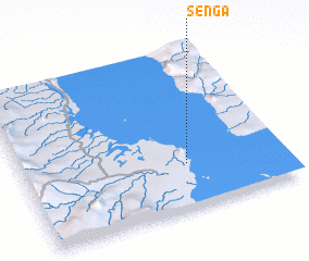 3d view of Senga