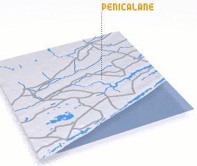 3d view of Penicalane