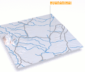 3d view of Muananimai