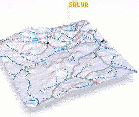 3d view of Salur