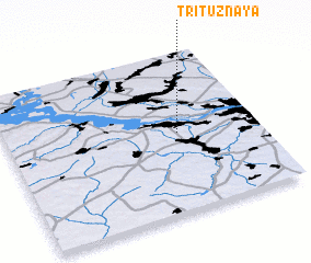 3d view of Trituznaya