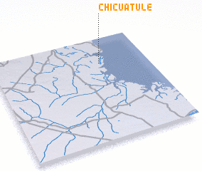 3d view of Chicuatule