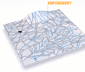 3d view of Kapsakwony