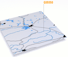 3d view of Girino