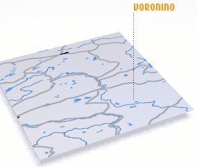 3d view of Voronino