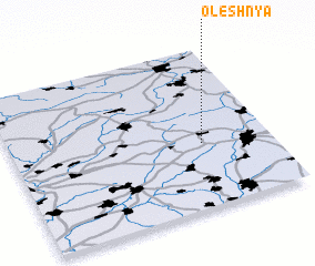 3d view of Oleshnya