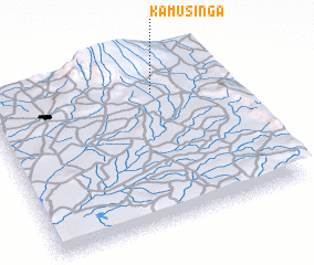 3d view of Kamusinga