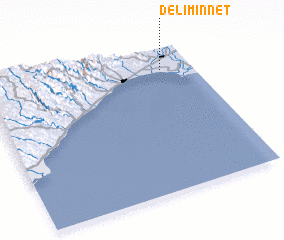 3d view of Deliminnet