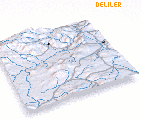 3d view of Deliler