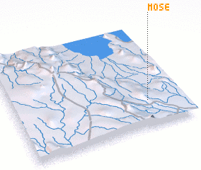 3d view of Mose