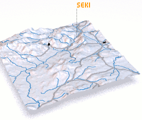 3d view of Seki
