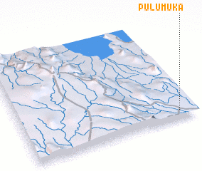 3d view of Pulumuka