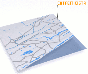 3d view of Cat. Feiticista