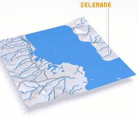 3d view of Selemane