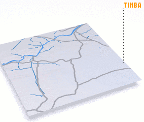 3d view of Timba