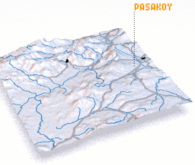 3d view of Paşaköy