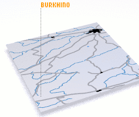 3d view of Burkhino