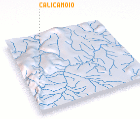 3d view of Calicamoio