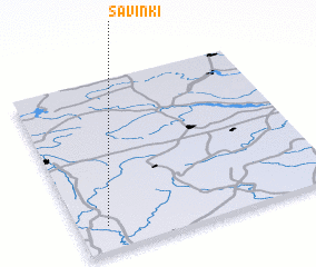 3d view of Savinki