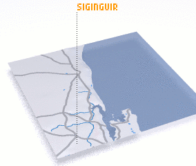 3d view of Siginguir