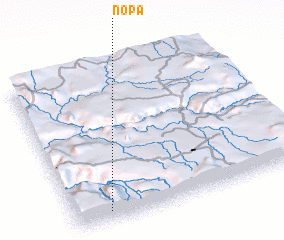 3d view of Nopa