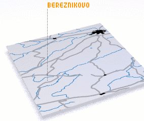 3d view of Bereznikovo