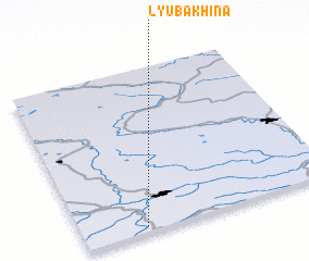 3d view of Lyubakhina