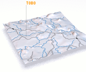 3d view of Tobo