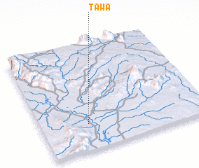 3d view of Tawa