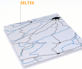 3d view of Sel\