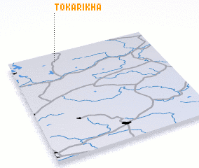 3d view of Tokarikha