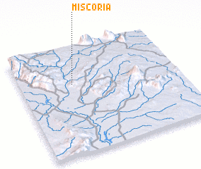 3d view of Miscoria