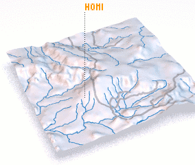 3d view of Homi