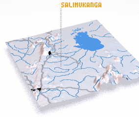 3d view of Salimukanga