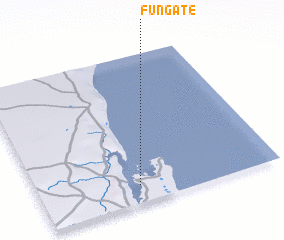 3d view of Fungate