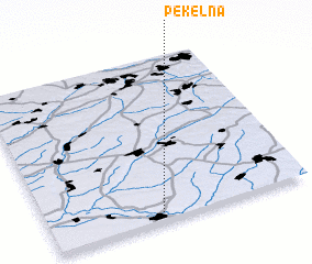 3d view of Pekelʼna