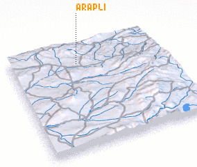 3d view of Araplı