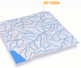 3d view of Metuana