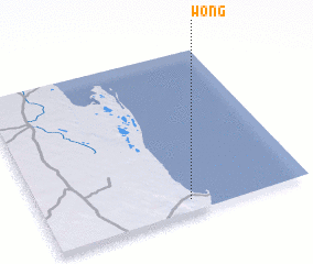 3d view of Wong