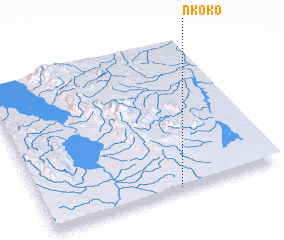 3d view of Nkoko