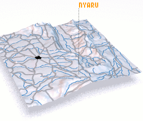 3d view of Nyaru