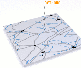 3d view of Det\