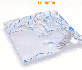 3d view of Loliondo