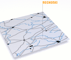 3d view of Moshonki