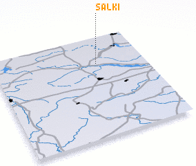 3d view of Sal\