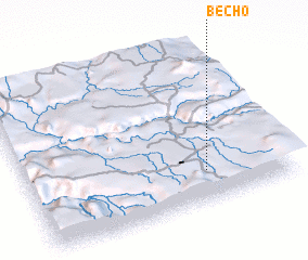 3d view of Becho