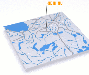3d view of Kididimu
