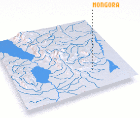 3d view of Mongora