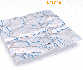 3d view of Welega